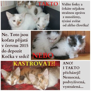 podpora-kastrace.jpg